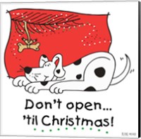 Framed 'Don't Open til Christmas I' border=