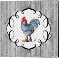 Framed 'Rooster on the Roost II' border=
