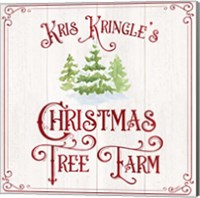 Framed 'Vintage Christmas Signs VI-Tree Farm' border=