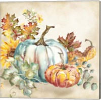 Framed Watercolor Harvest Pumpkin III