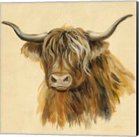 Framed Highland Animal Cow