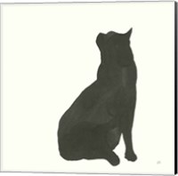 Framed Black Cat II