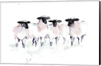 Framed Minimalist Watercolor Sheep II