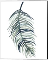 Framed 'Watercolor Palm Leaves I' border=