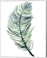 Framed 'Watercolor Palm Leaves III' border=