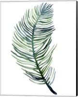 Framed Watercolor Palm Leaves III