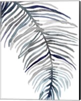 Framed 'Blue Feathered Palm II' border=