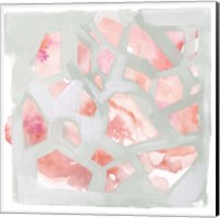 Framed Pink Salt Shards II