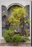 Framed Italian Window Flowers IV