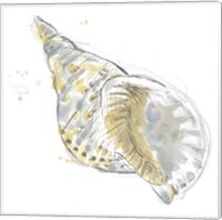 Framed 'Citron Shell Sketch II' border=