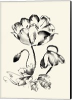 Framed Ink Wash Floral IV - Poppy
