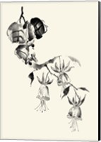 Framed Ink Wash Floral VIII - Fuchsia