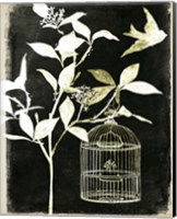 Framed 'Branch & Bird I' border=