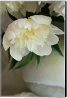 Framed White Peonies In Cream Pitcher 3