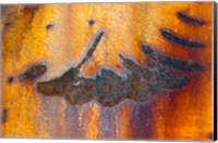Framed Details Of Rust And Paint On Metal 6