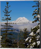 Framed Mount Garibaldi From The Chief Overlook At The Summit Of The Sea To Sky Gondola