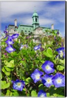 Framed USA, Montreal View Of City Hall Building Behind Flowers