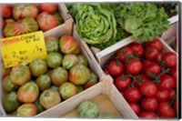 Framed Italy, Genoa Province, Rapallo Fresh Produce In Outdoor Market