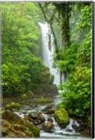 Framed Costa Rica, La Paz Waterfall Garden Rainforest Waterfall And Stream