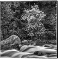 Framed California, Yosemite, Happy Isles