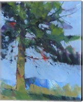 Framed Gilfach Pine