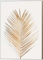 Framed Palm Leaf Gold