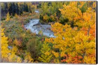 Framed Autumn Color Along Divide Creek In Glacier National Park, Montana