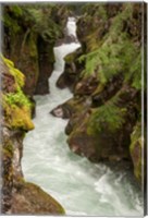 Framed Glacier National Park, Montana Avalanche Creek