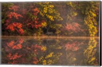 Framed New Jersey, Belleplain State Fores,t Autumn Tree Reflections On Lake