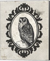 Framed Celestial Owl