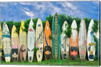 Framed Surfboards