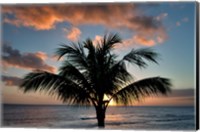 Framed Palm Tree Sunset II