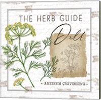 Framed 'Herb Guide - Dill' border=