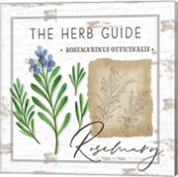 Framed 'Herb Guide - Rosemary' border=