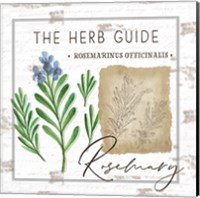 Framed 'Herb Guide - Rosemary' border=