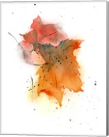 Framed Fall Leaves IV
