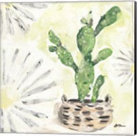Framed Bono Cactus
