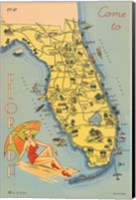 Framed Florida Postcard VI