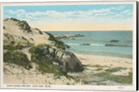Framed Beach Postcard V