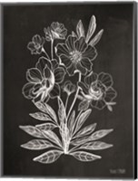 Framed Vintage Chalkboard Flowers