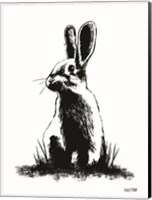 Framed Farmhouse Rabbit