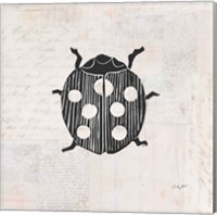 Framed Ladybug Stamp BW