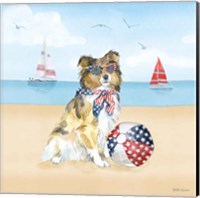 Framed Summer Paws Patriotic V