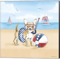 Framed Summer Paws Patriotic II