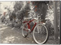 Framed Garden Bike Red