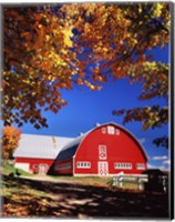 Framed Big Red Barn Autumn Farm Scenic
