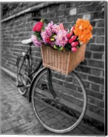 Framed Basket of Flowers II