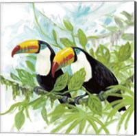 Framed Toucans