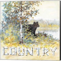 Framed 'Country' border=