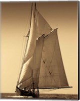 Framed Under Sail I